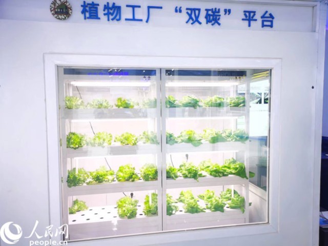 數(shù)字內(nèi)容新紀(jì)元 激發(fā)源頭創(chuàng)新，科技點(diǎn)亮精彩生活